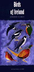 Birds of Ireland