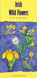 Irish Wild Flowers