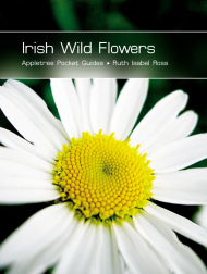 Irish Wild Flowers