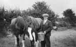 Anthony Brady with his horses